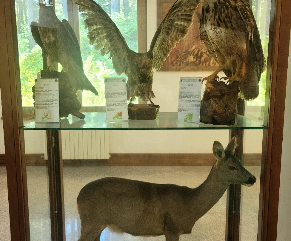 Parco Nazionale della Sila Centro Visitatori di Monaco A. Garcea-Taverna必去景点