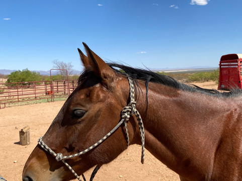 Jetalena Ranch-墓碑镇必去景点