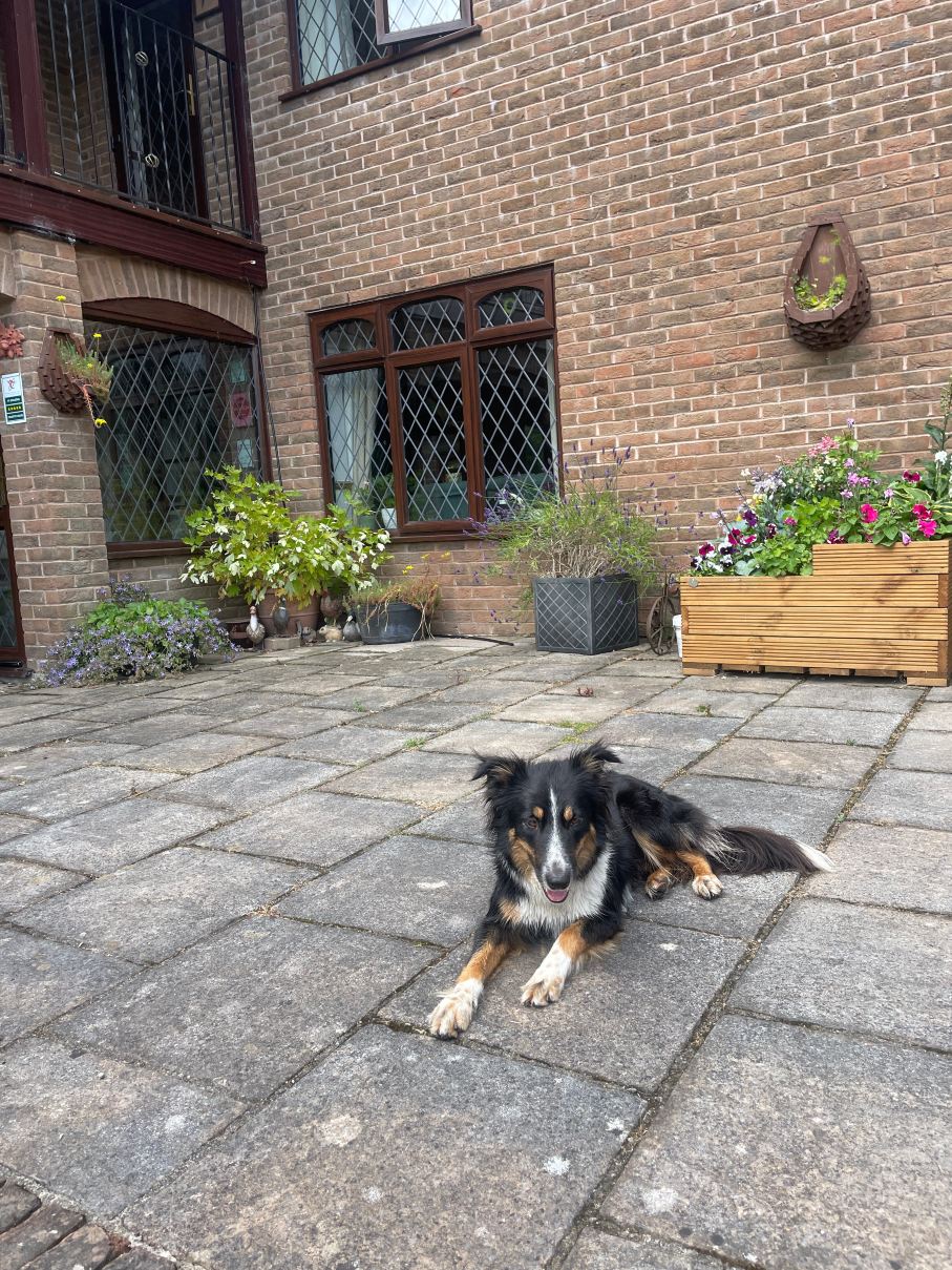 Acorn Court Country House-浴室