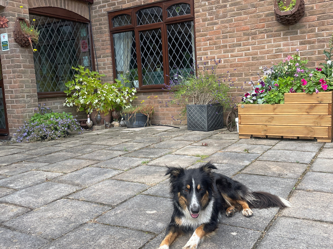 Acorn Court Country House主图