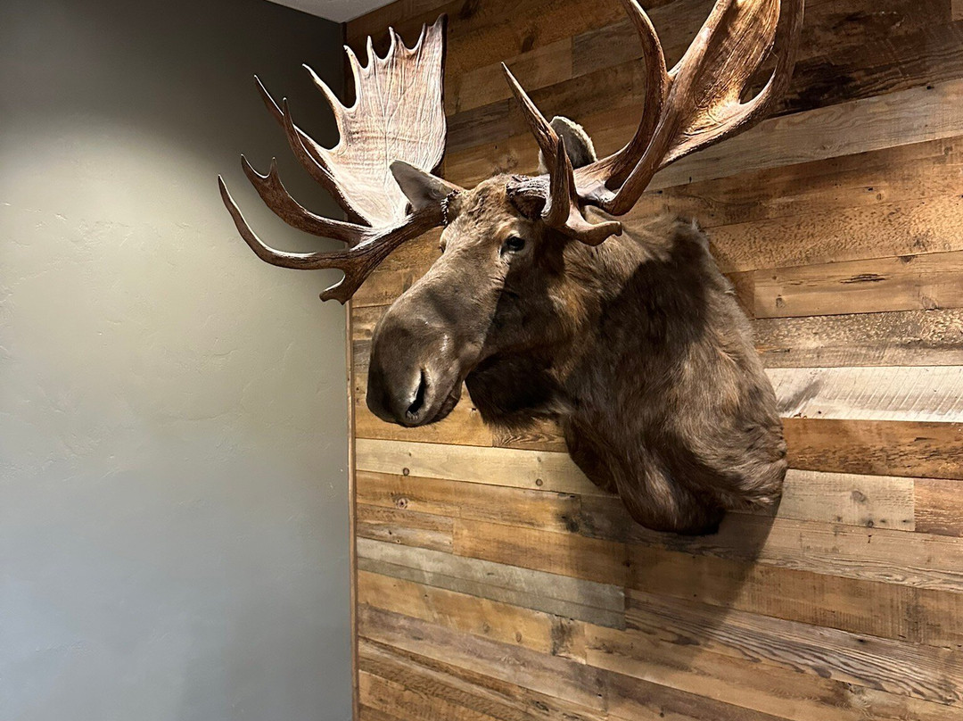 Bubolz Nature Preserve-阿普尔顿必去景点