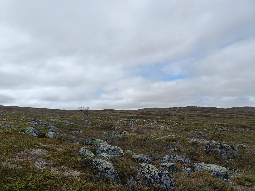 Travel Utsjoki-Utsjoki必去景点