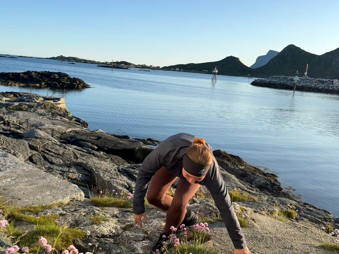 Lofoten Værøy Brygge主图