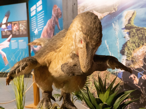 Caracol-恩塞纳达必去景点