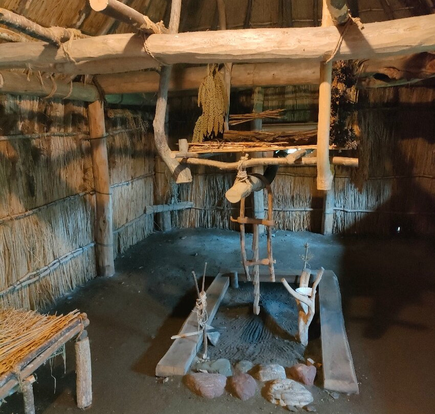 Nibutani Ainu Museum-平取町必去景点