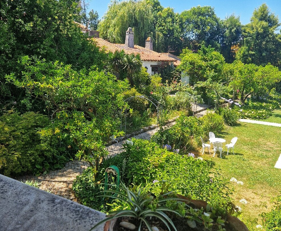Quinta De S. Lourenco主图