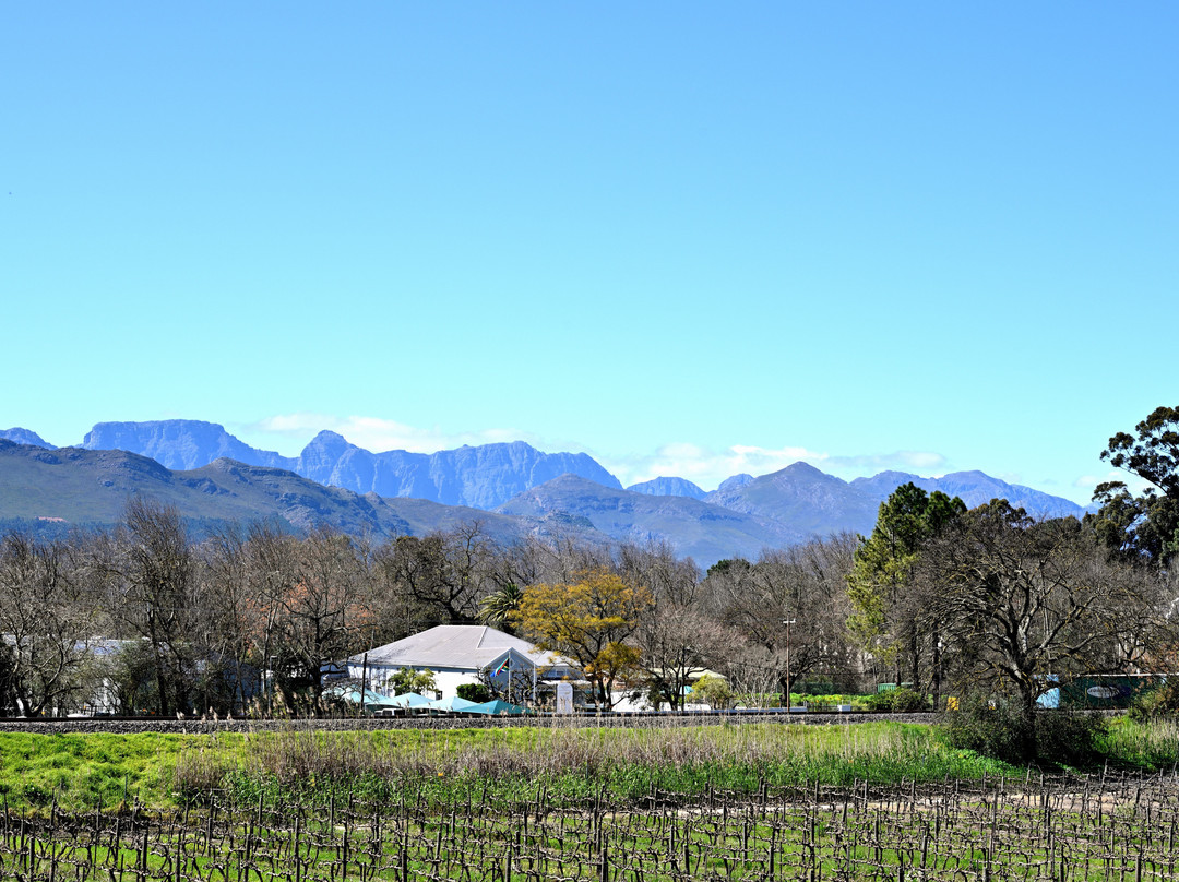 Vrede en Lust Winery-Simondium必去景点