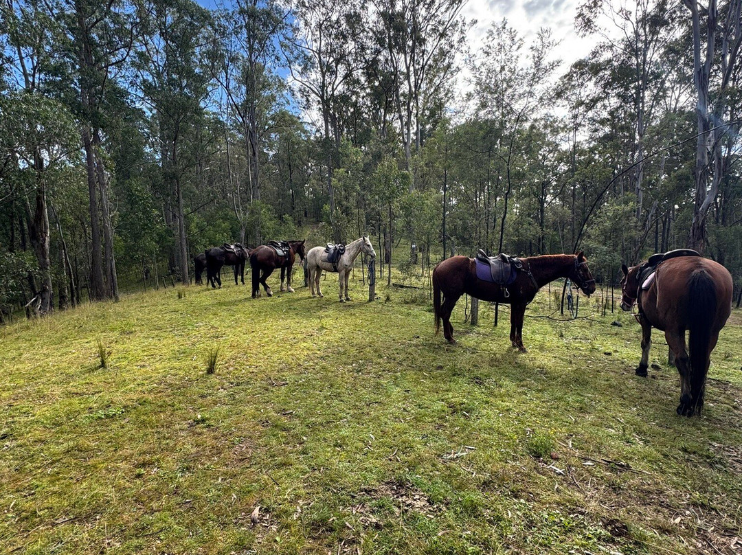 Chapman Valley Horse Riding-Howes Valley必去景点