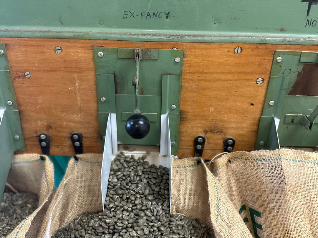 大视野农场-霍那吾那吾必去景点