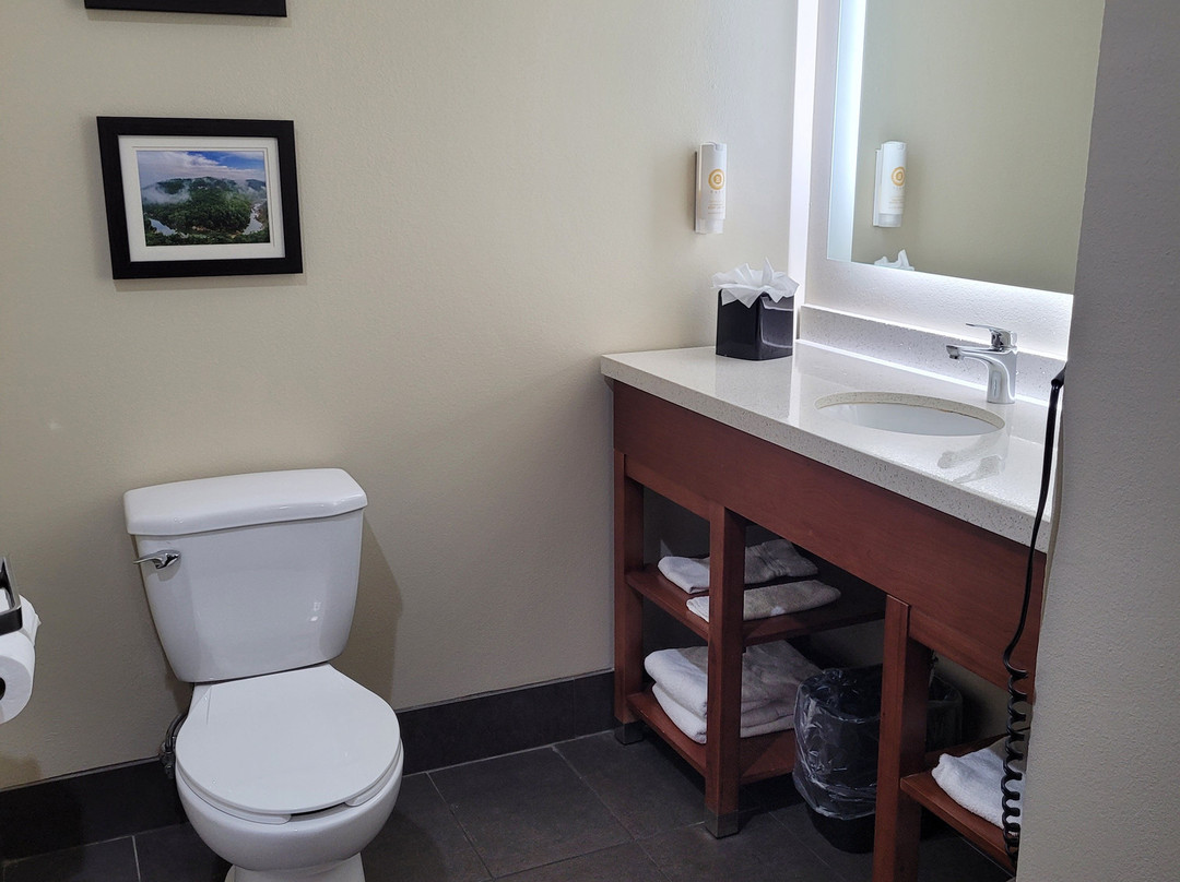 舒适套房酒店主图