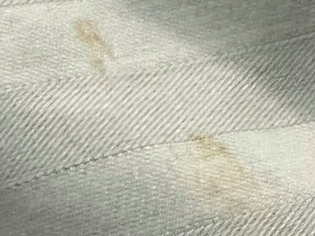 Best Western Seaworld San Antonio主图