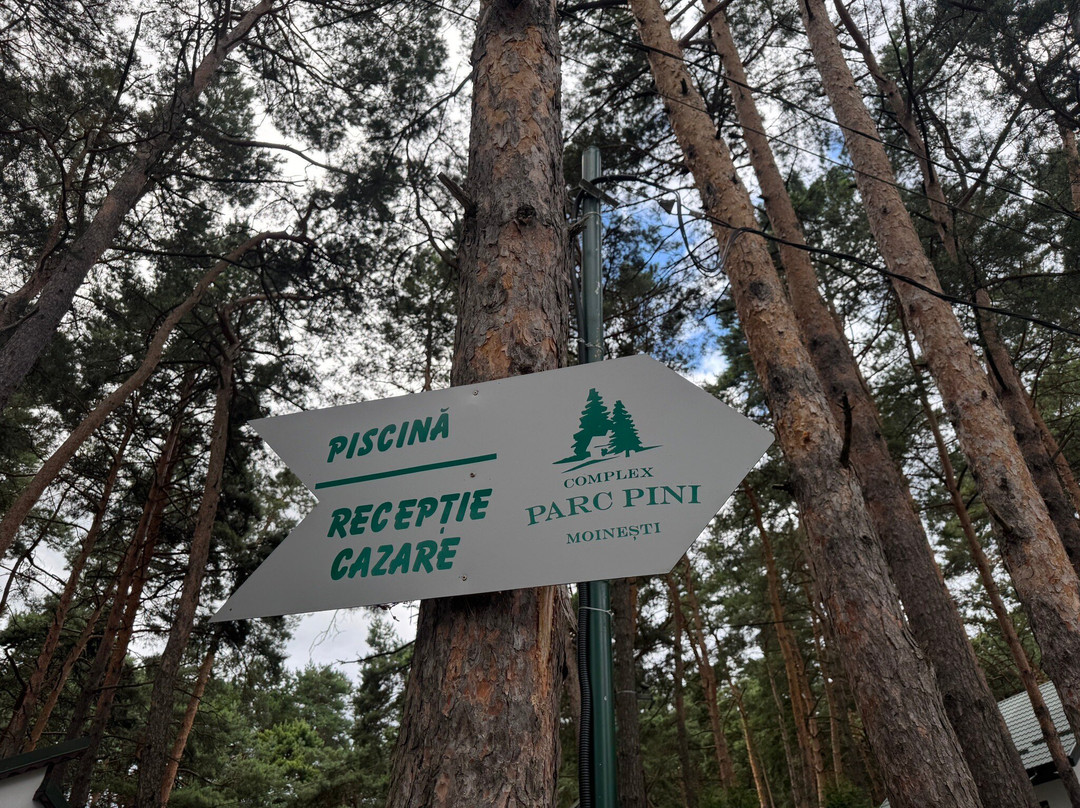 Complex Parc Pini Moinesti主图