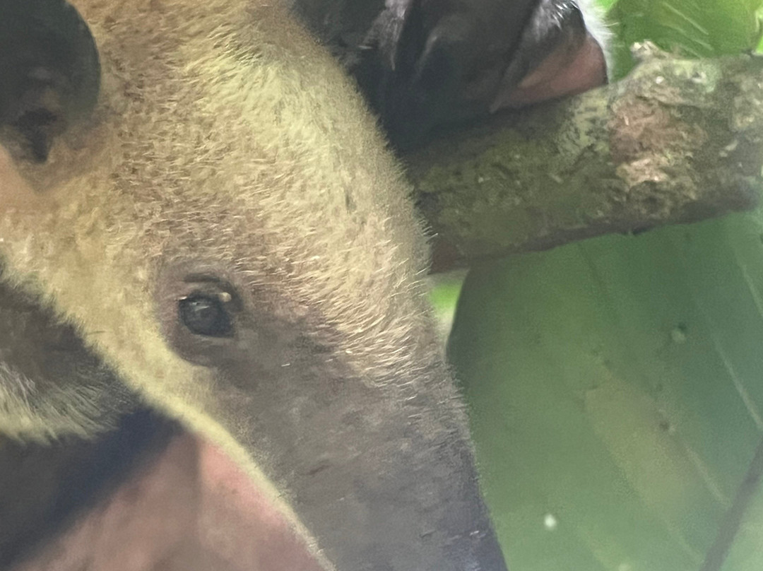 Casita y Tours Happy Feet主图