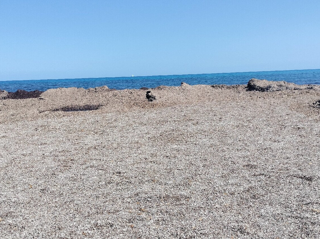 Spiaggia di Foxi Murdegu-Marina di Tertenia必去景点