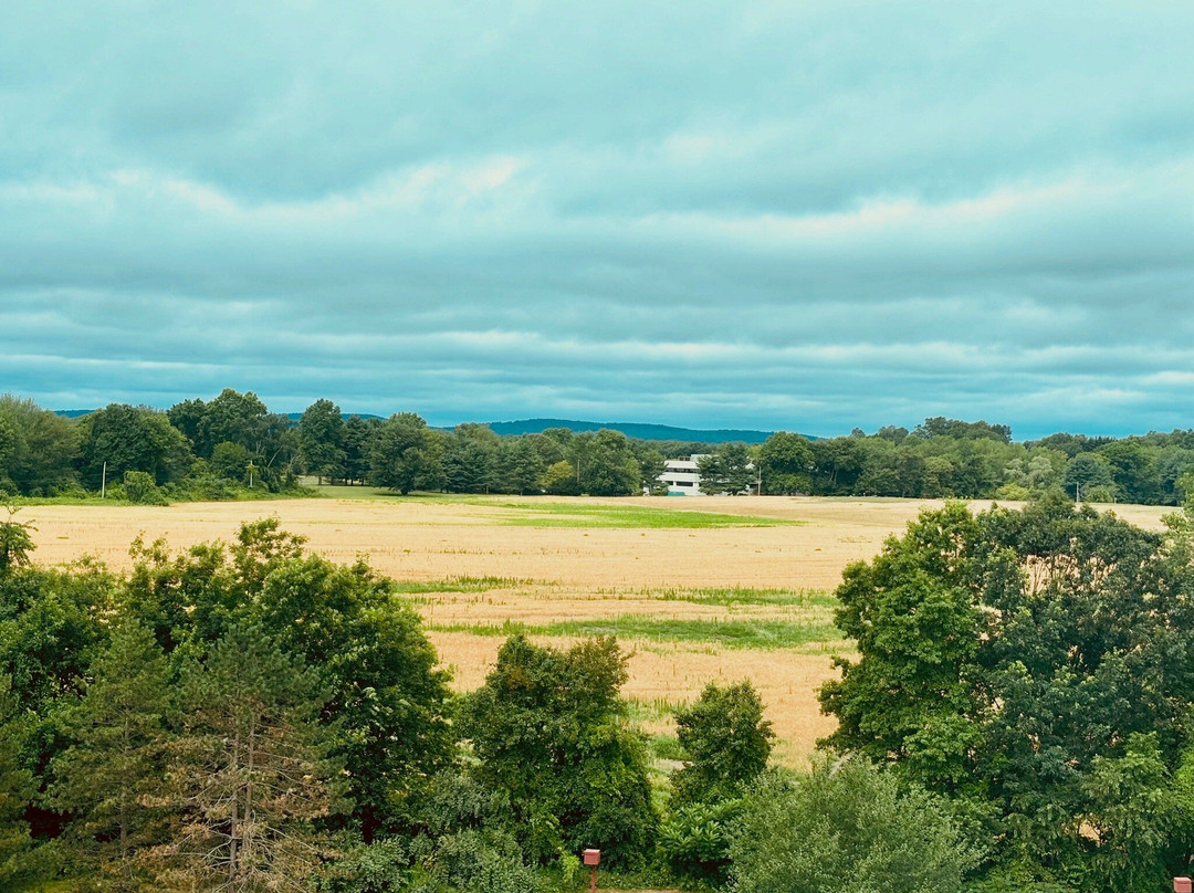 哈特福德/温莎机场万豪酒店主图
