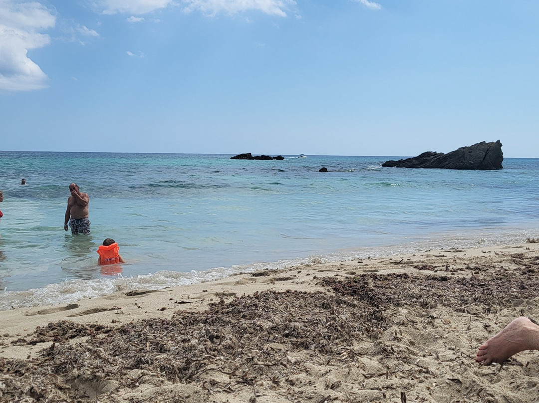 Platja de Son Moll-Cala Ratjada必去景点