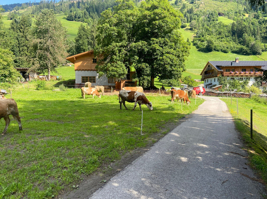 Pista Ciclabile Val Pusteria Pusterbike-圣坎迪多必去景点