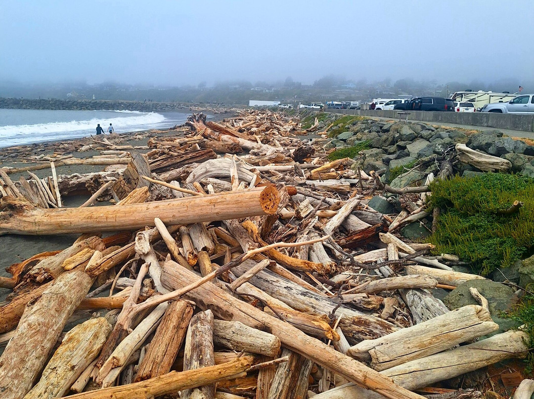 Port of Brookings Harbor-布鲁金斯必去景点