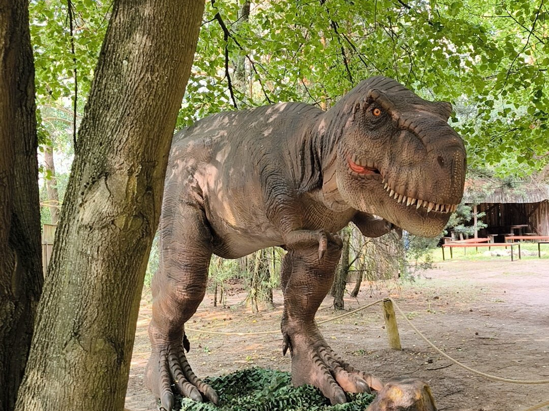 Jurajski Park Dinozaurów Muzeum Dziejów Ziemi-Wasilkow必去景点