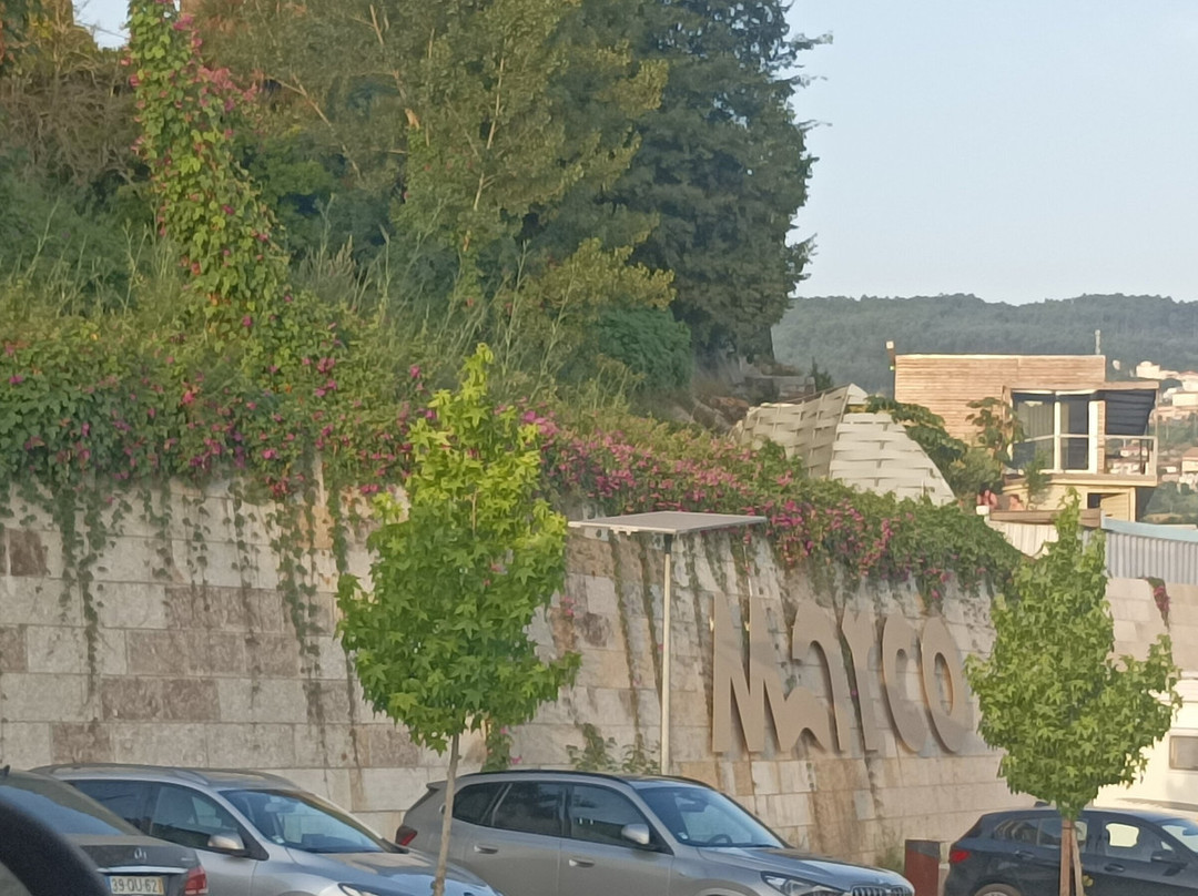 Praia de Bitetos-Marco de Canaveses必去景点