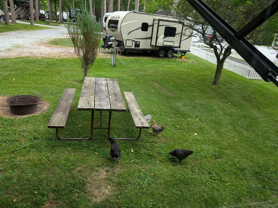 Dorset RV Park