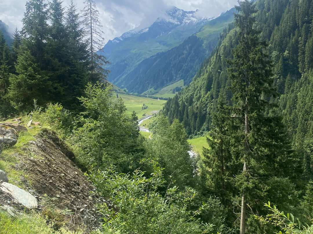 Das Taubenhaus主图