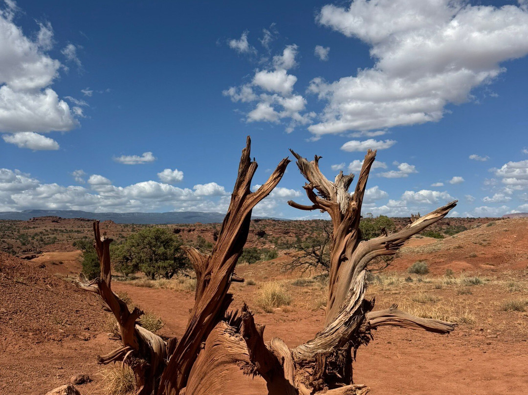 Chimney Rock Trail-圆顶礁国家公园必去景点
