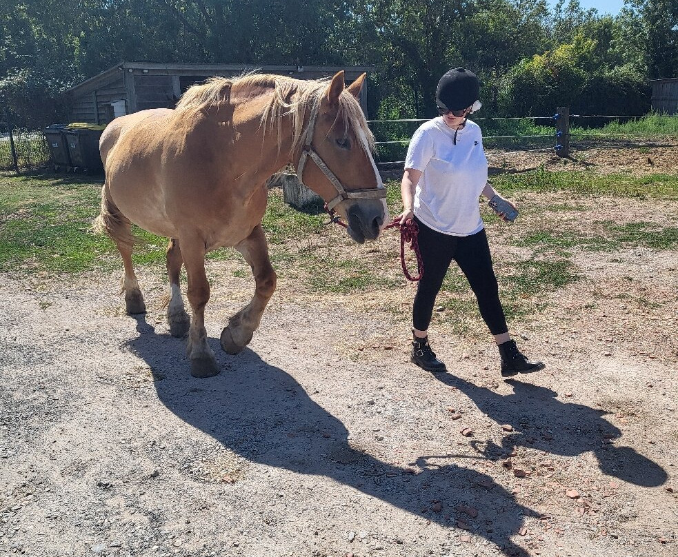 Centre equestre le marais en selle-Yves必去景点