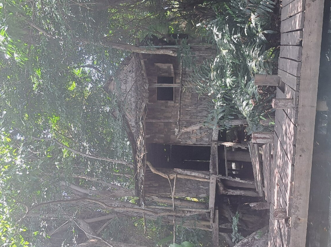 Indian River-多米尼克必去景点