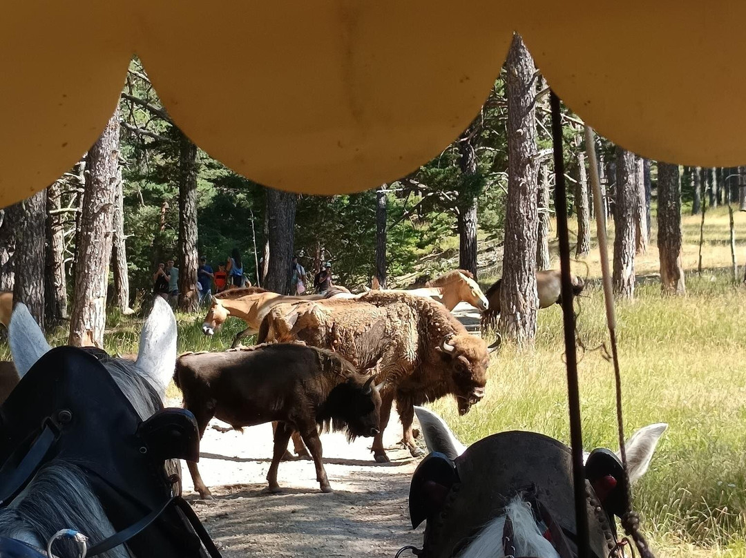 Reserve Biologique des Monts d'Azur-Thorenc必去景点