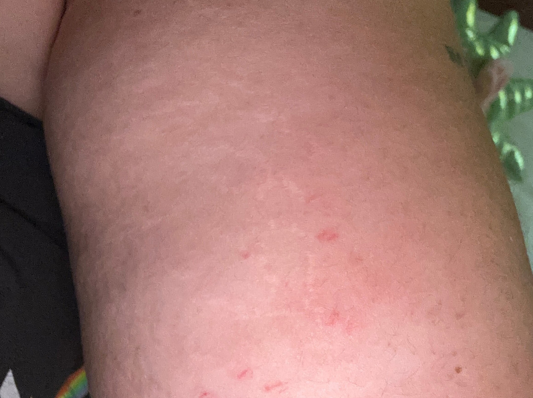 Red Roof Inn Conroe North - Willis主图