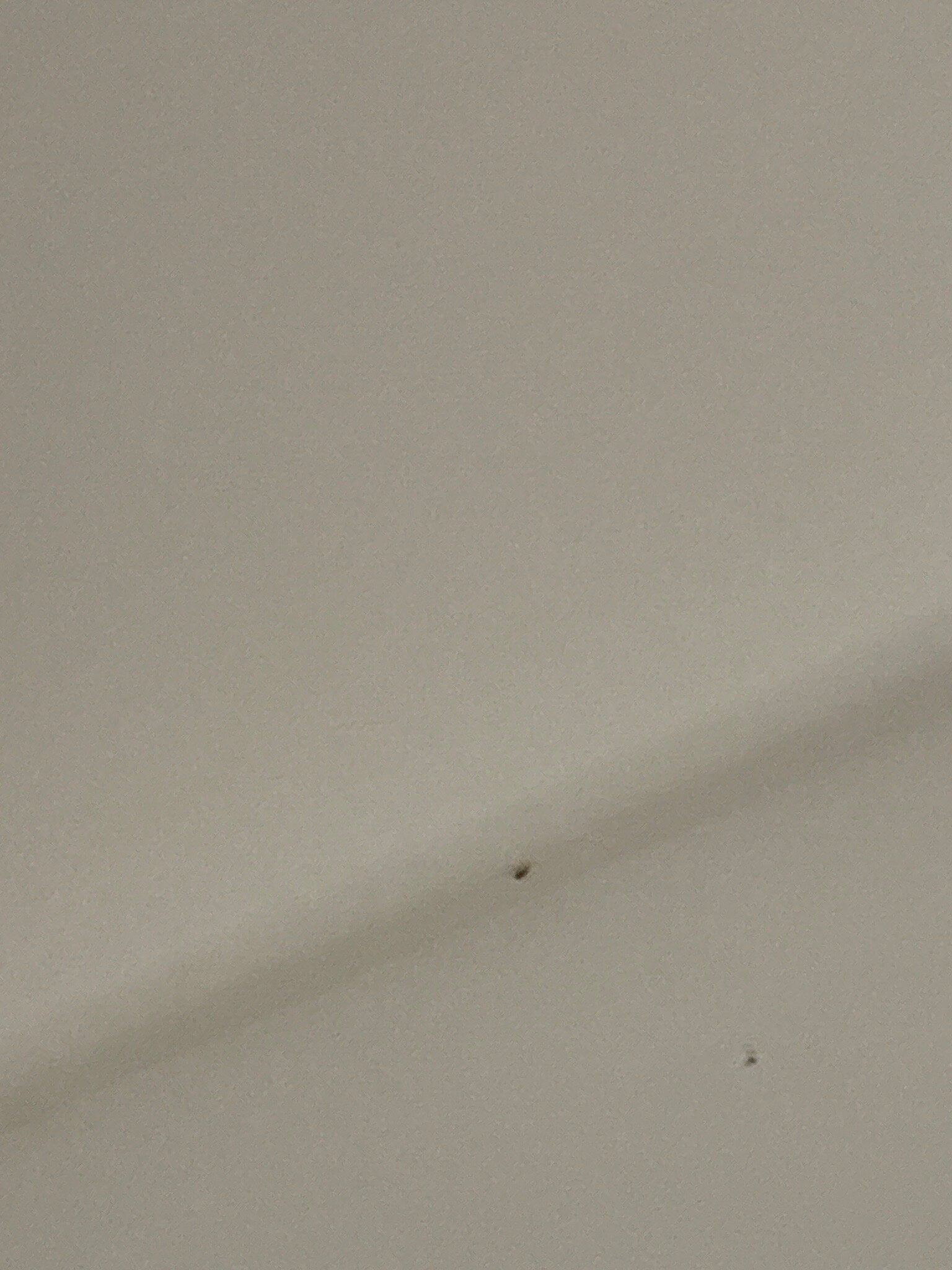 Le Quintessia-官方