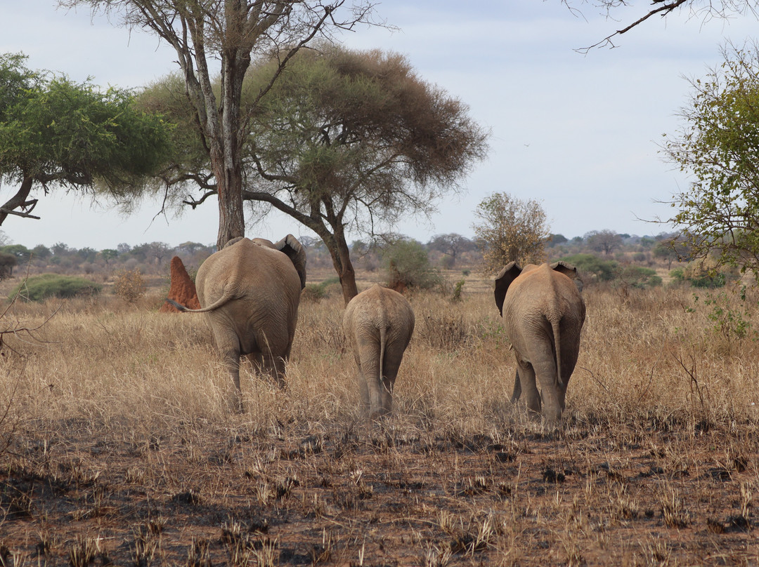 Sense of Africa, Namibia-温德和克必去景点
