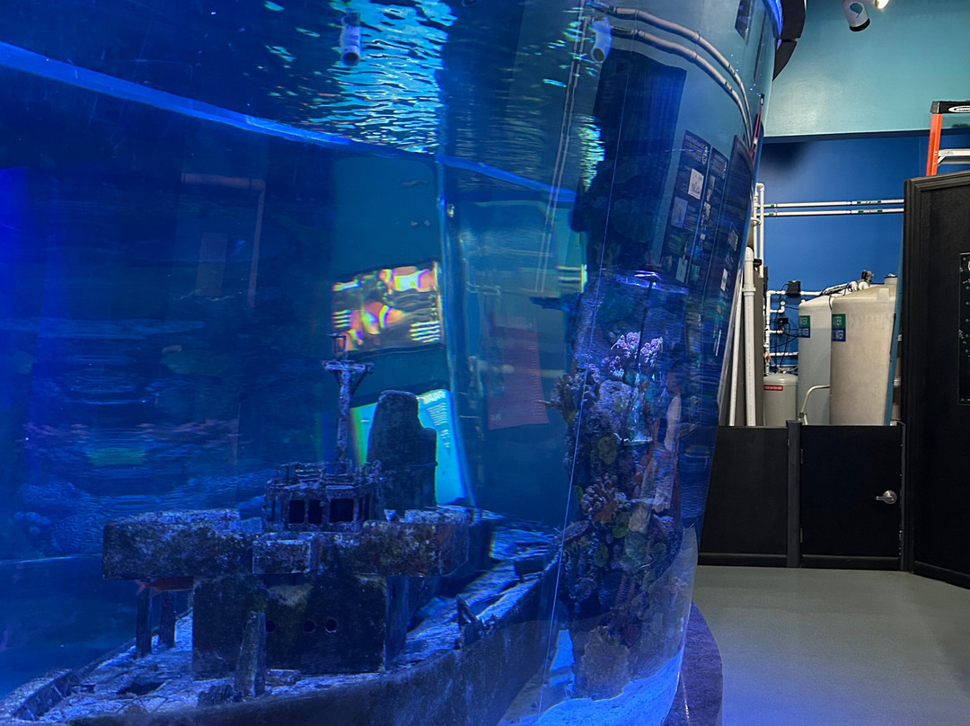 IMAG History & Science Center-迈尔斯堡必去景点