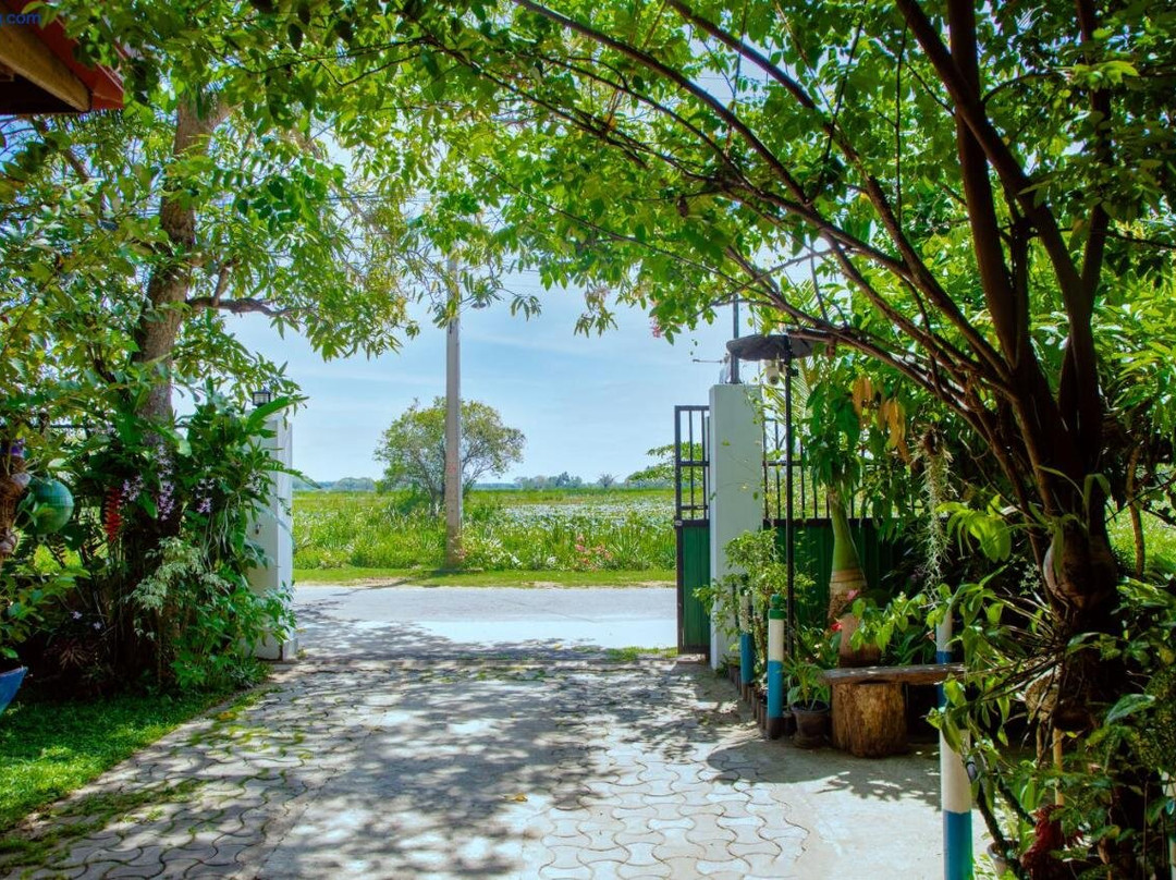 New Cormorant Lake Resort & Yala Safari Place