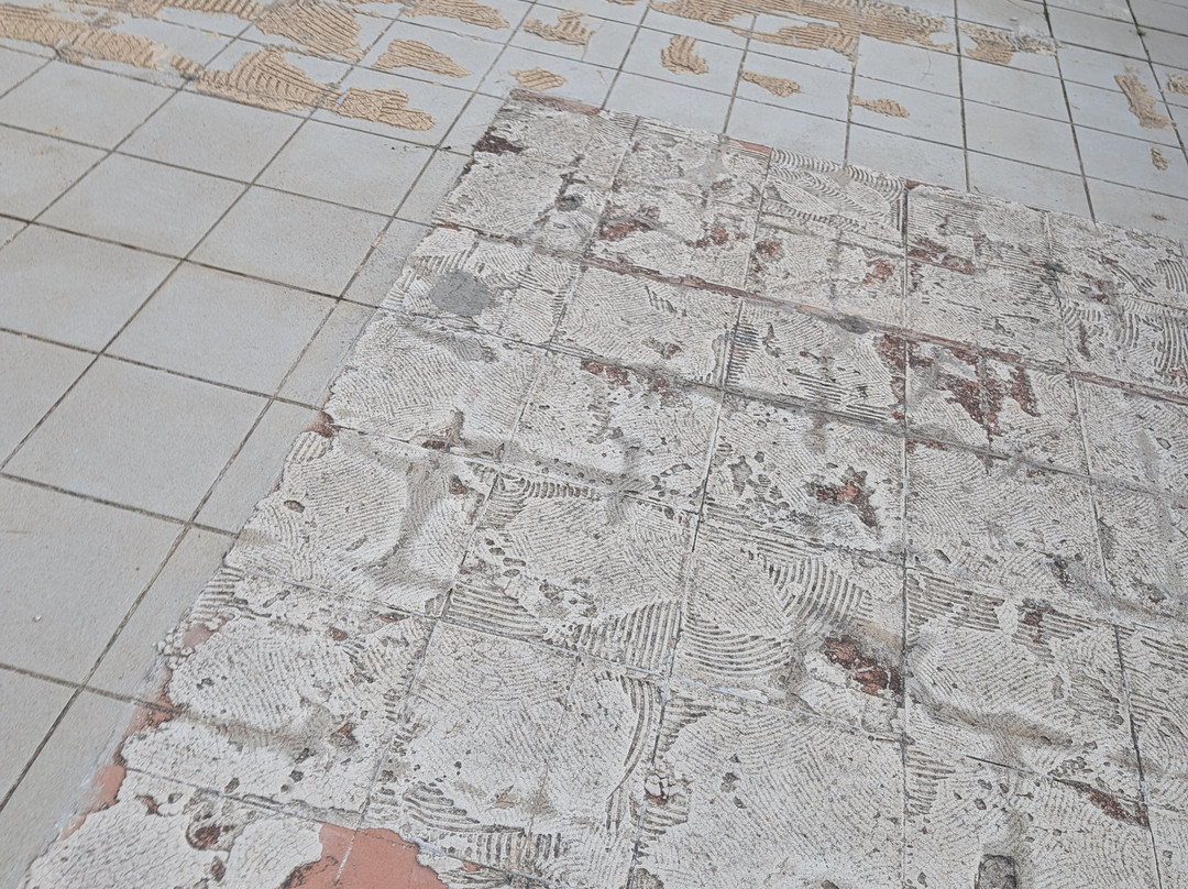 Hotel Millenium deluxe主图