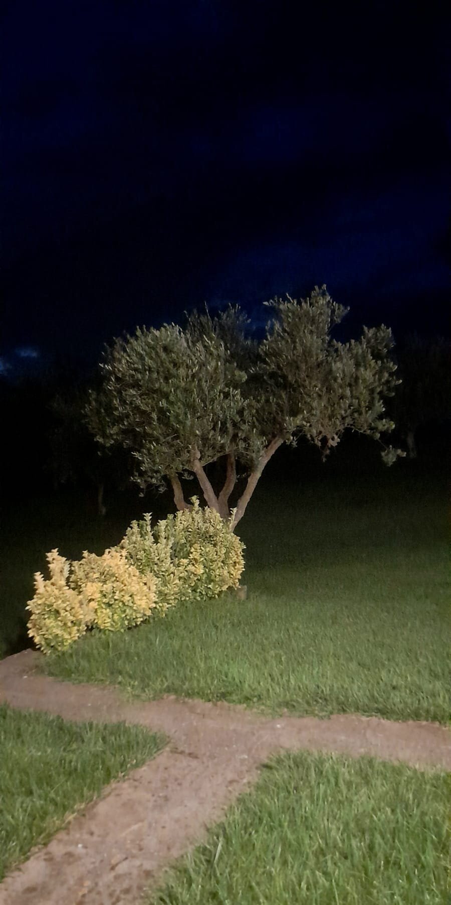 米利亚里诺农场旅馆-官方