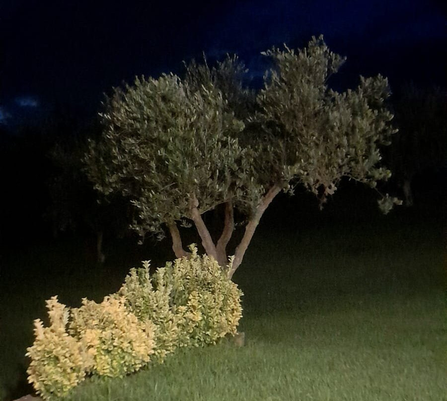 米利亚里诺农场旅馆主图