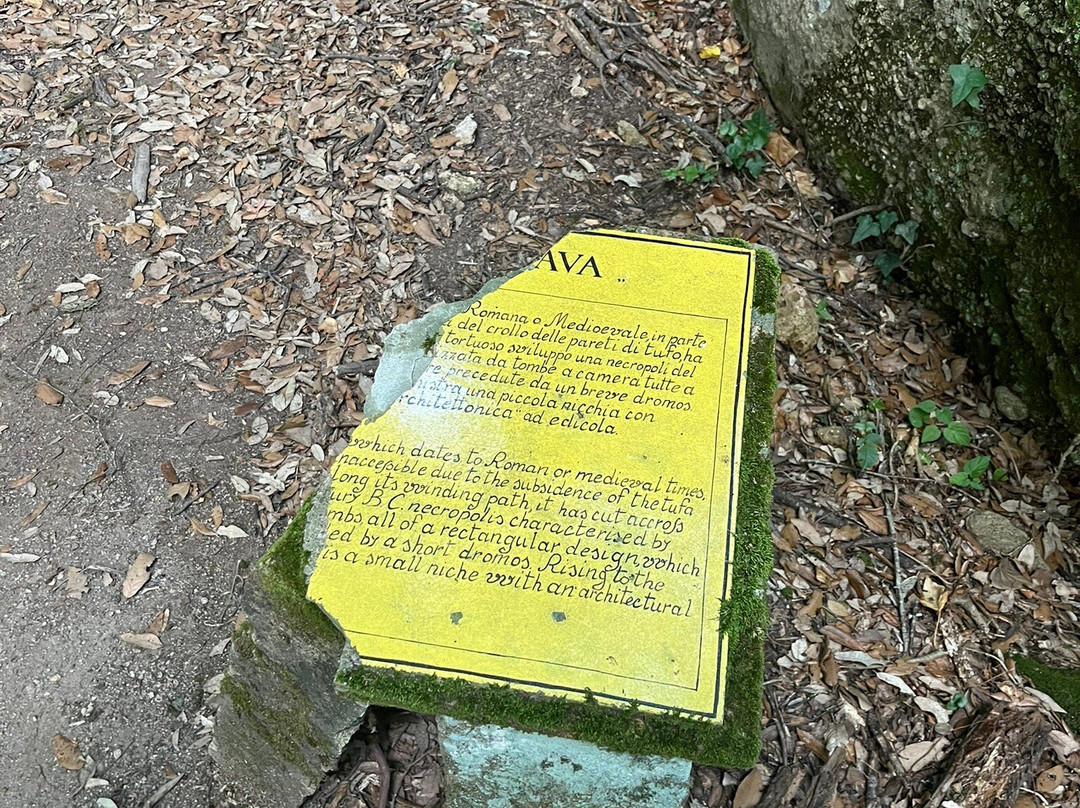 Parco Archeologico Citta del Tufo-Sovana必去景点