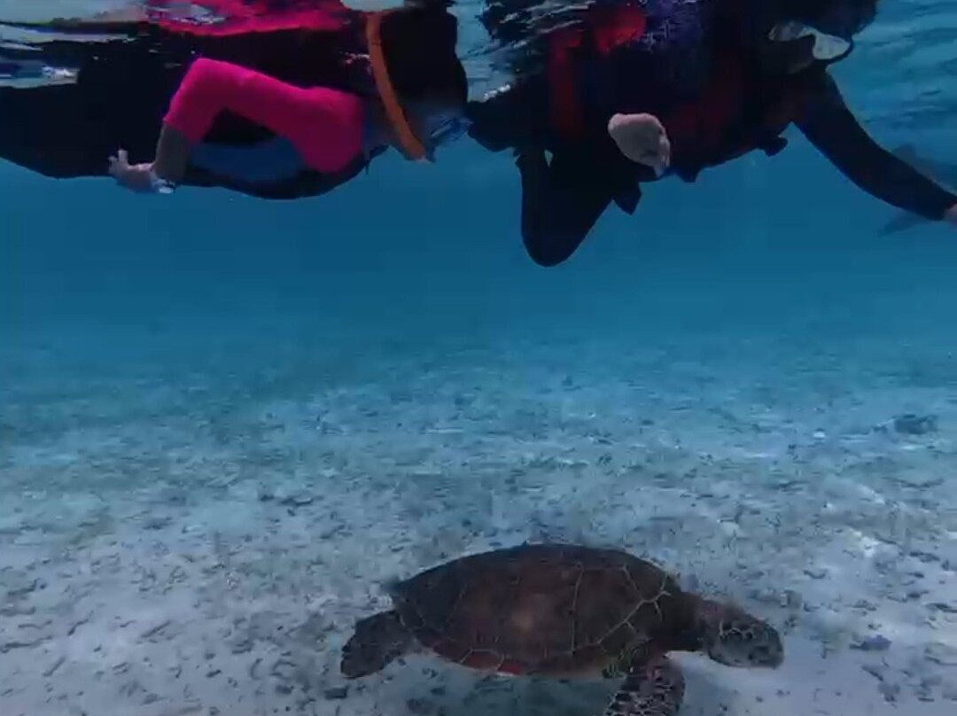 Bubbles Excursion-康杜玛岛必去景点