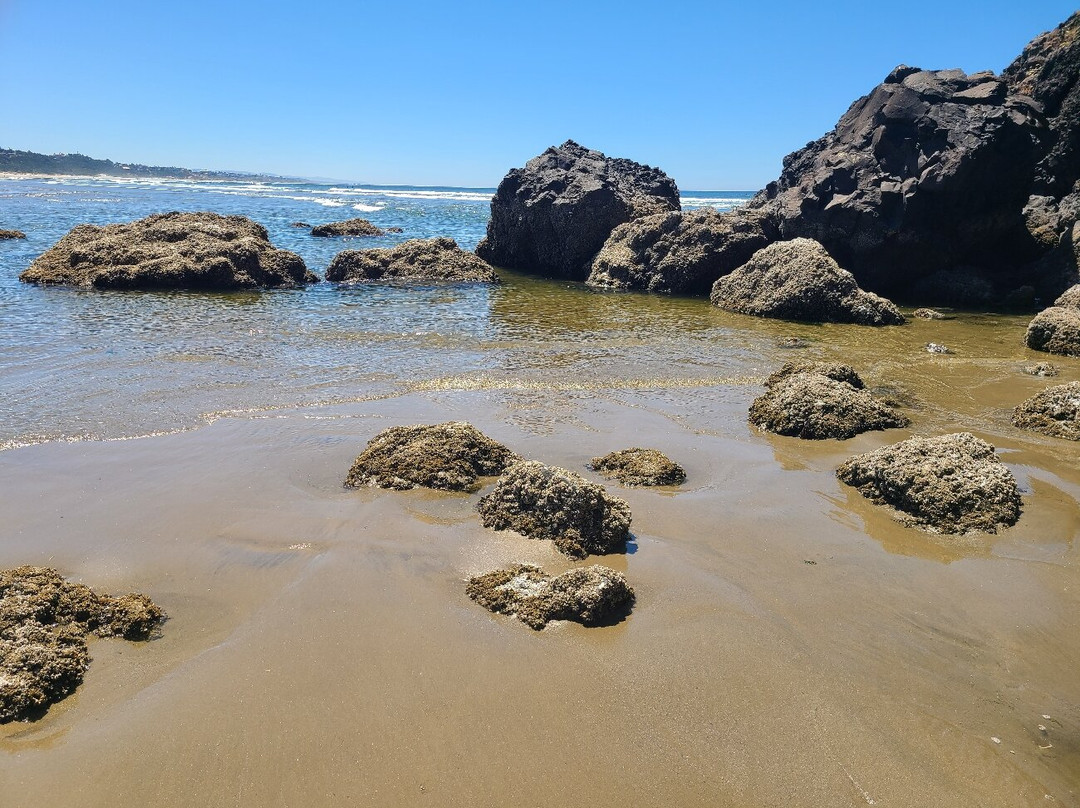 Agate Beach State Recreation Site-纽波特必去景点