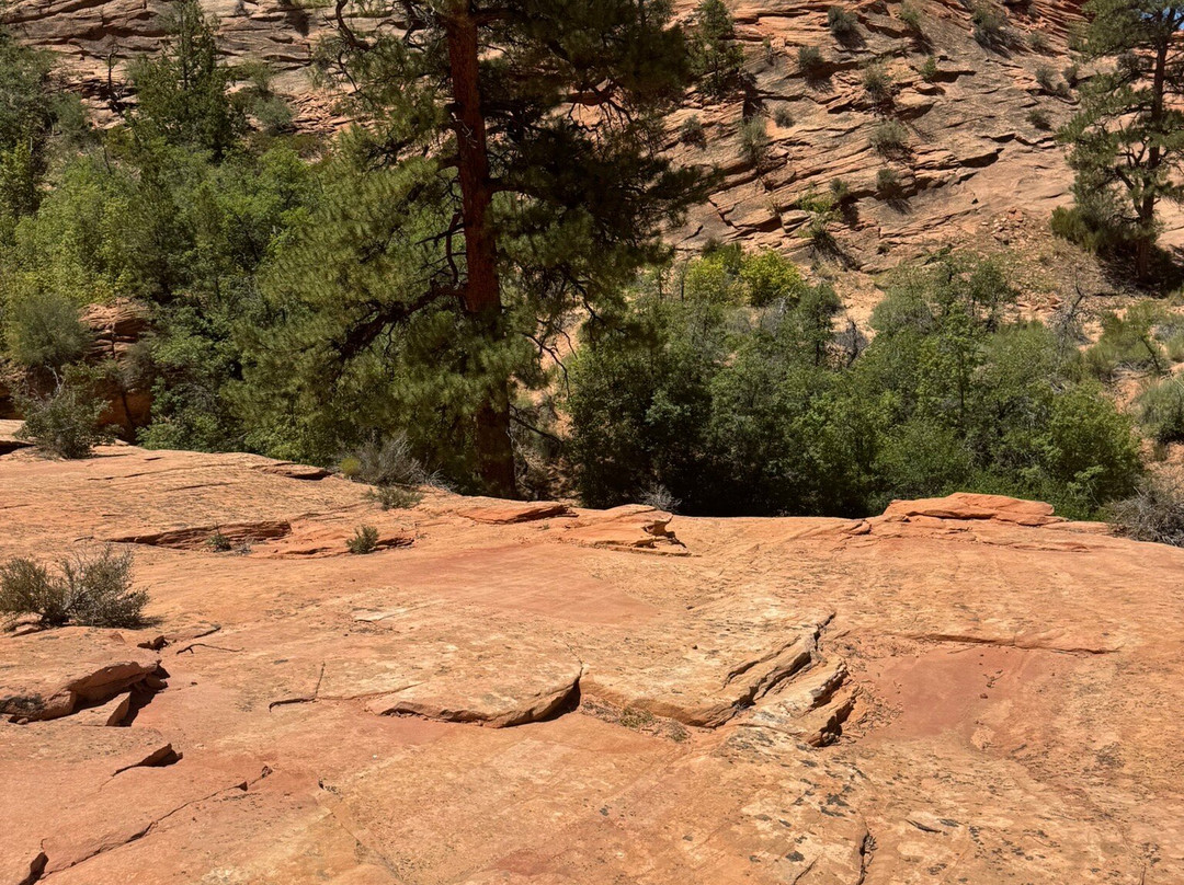 Zion - Mt. Carmel Highway-锡安国家公园必去景点