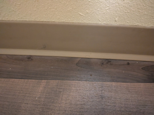 Extended Stay America - Boston - Waltham - 32 4th Ave.主图