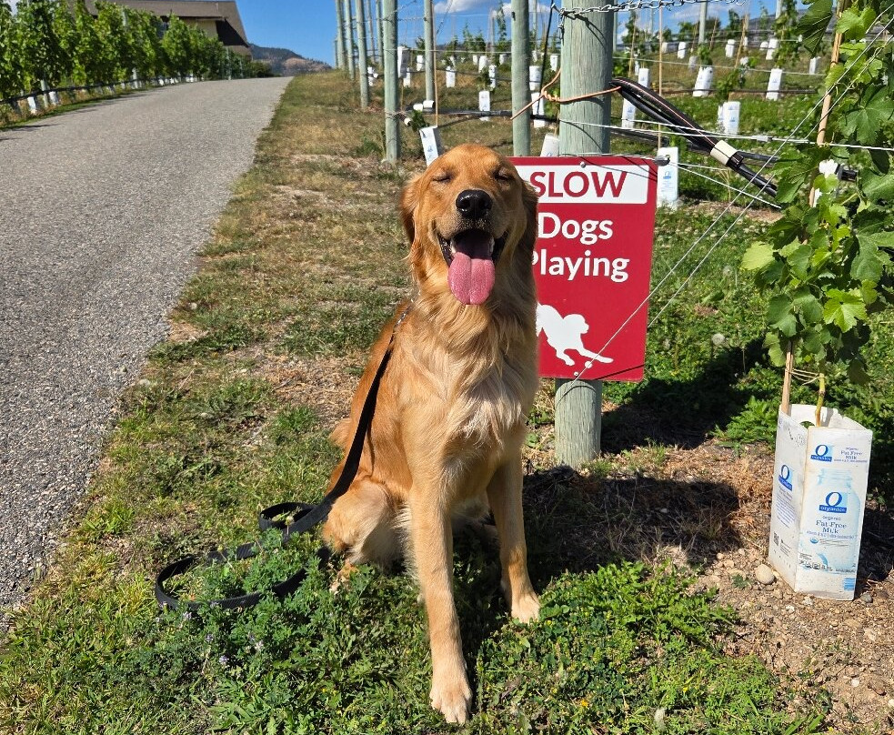 River Stone Estate Winery-Oliver必去景点