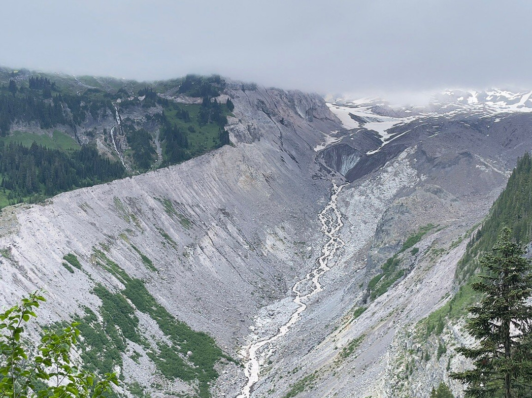 Nisqually Vista Loop-雷尼尔山国家公园必去景点