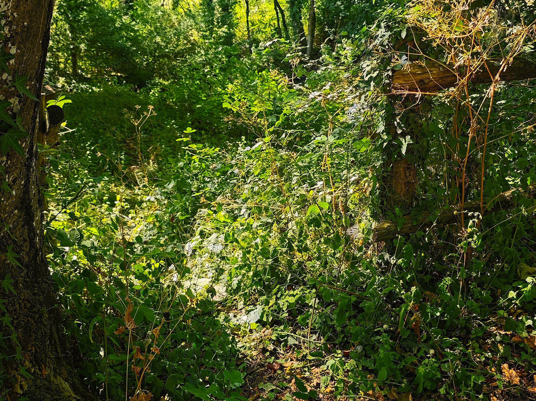 Fontaine - Lavoir Du Gardou-Sepvret必去景点