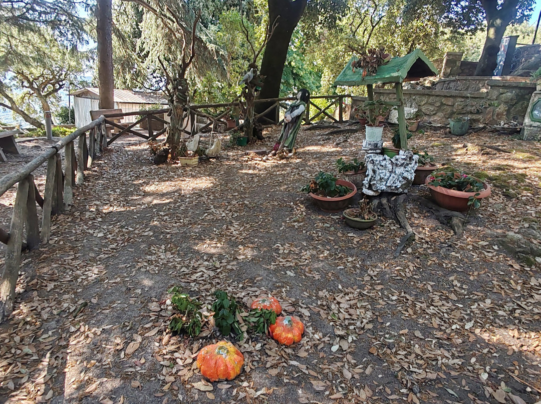 Palazzo Comunale di Tolfa