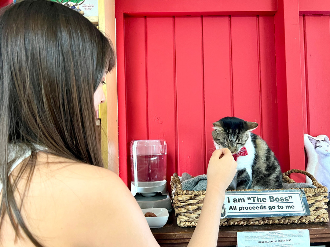 Talk Story Bookstore-哈纳佩佩必去景点