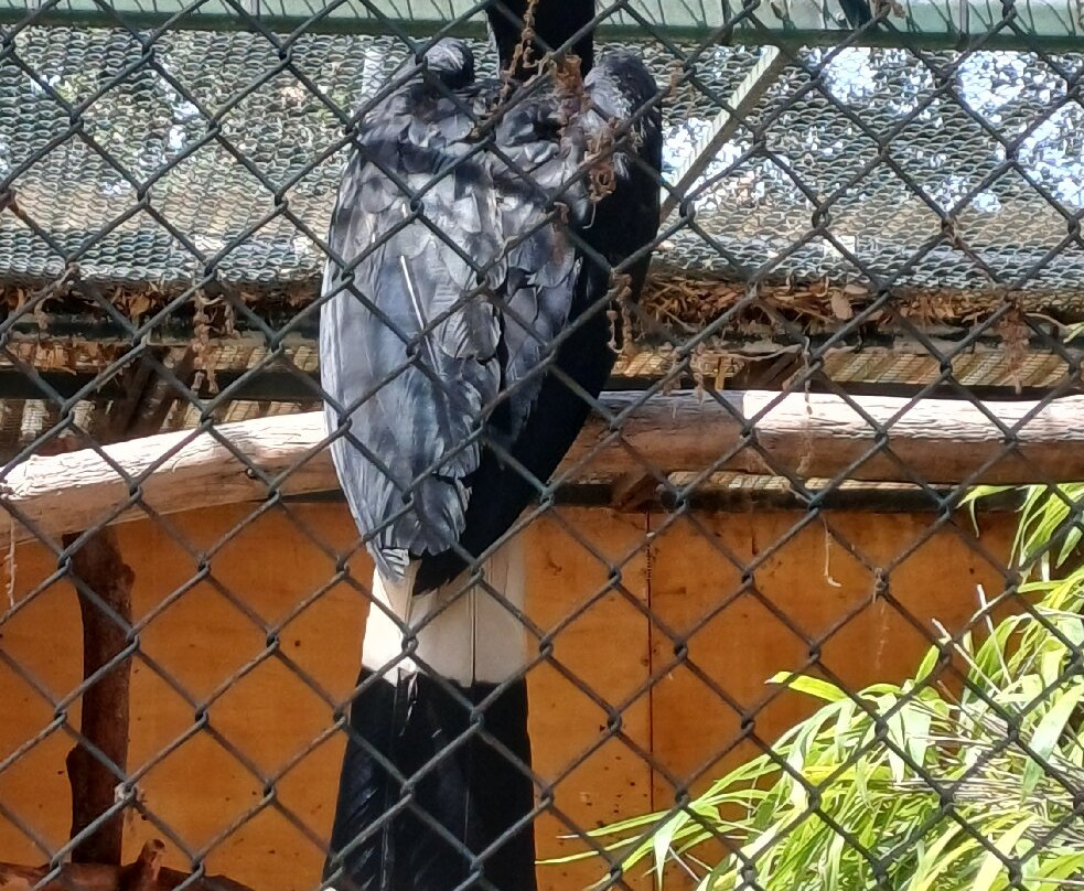 Jardin Zoologique Tropical-La Londe Les Maures必去景点