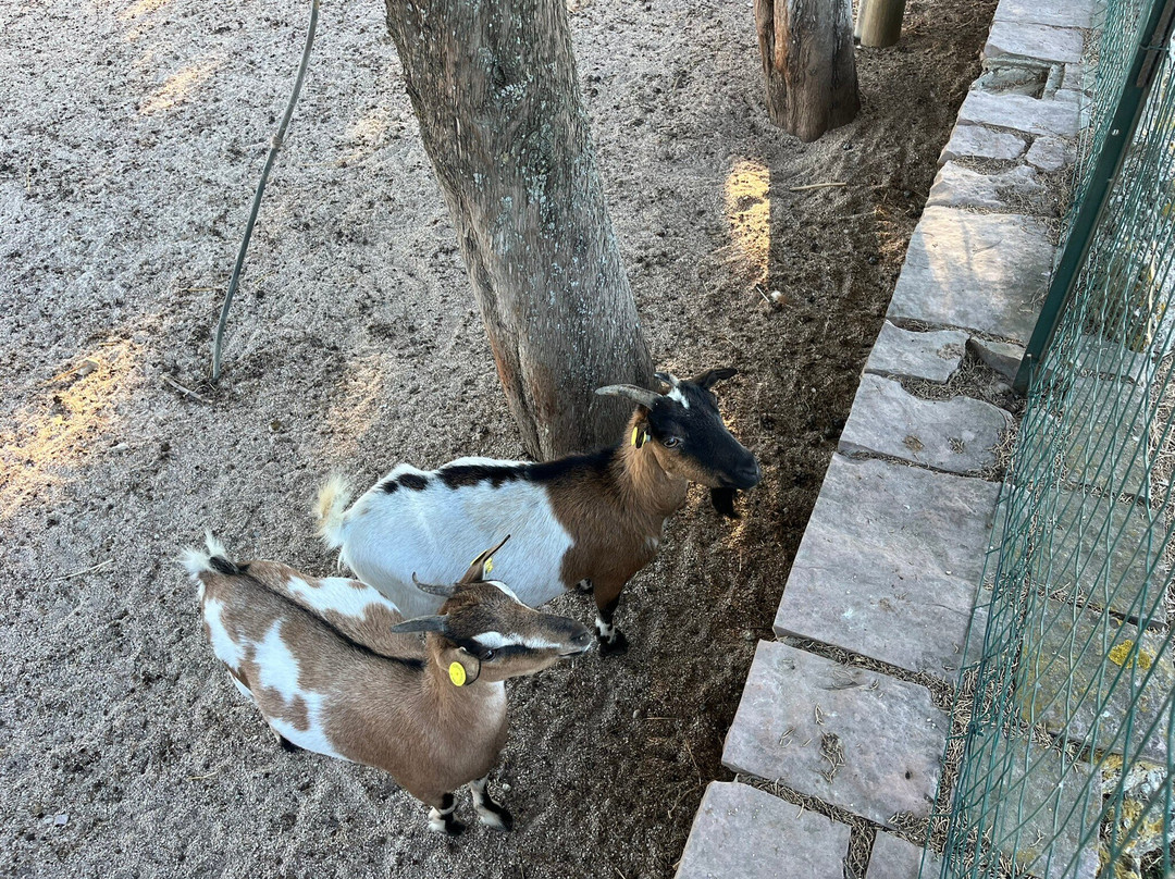 Azienda Agraria Saio-阿西西必去景点